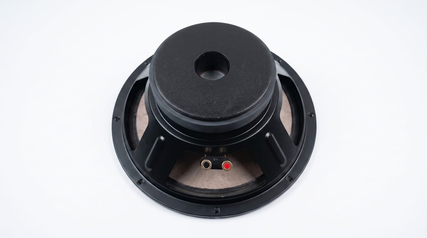 chaina 12'' স্পিকার * ফুল রেঞ্জ 600 ওয়াড RMS 8 OHM* DJ SPIKER - Image 4